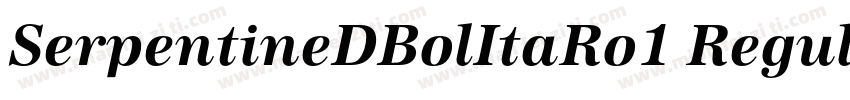 SerpentineDBolItaRo1 Regular字体转换